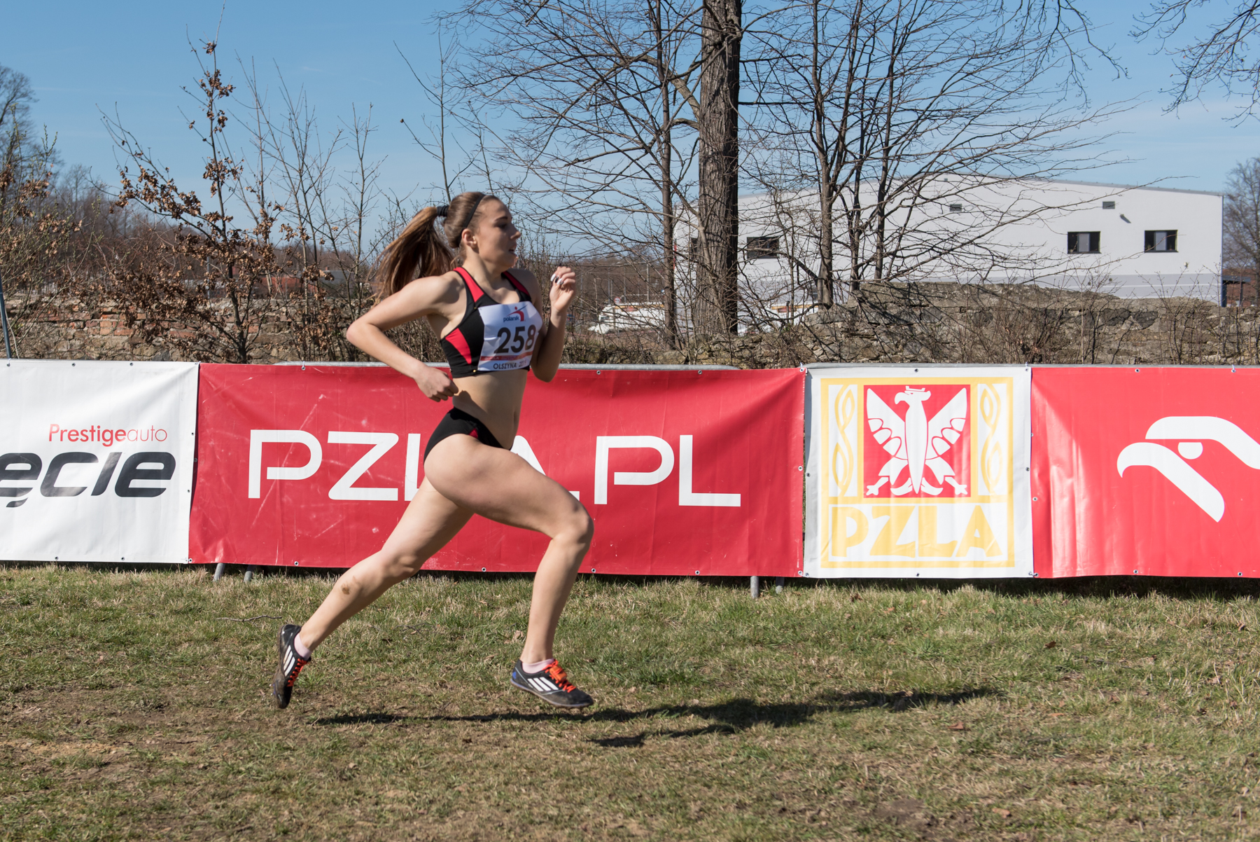 91. PZLA Mistrzostwa Polski w Biegach Przełajowych (U18, U20, S) obrazek 22